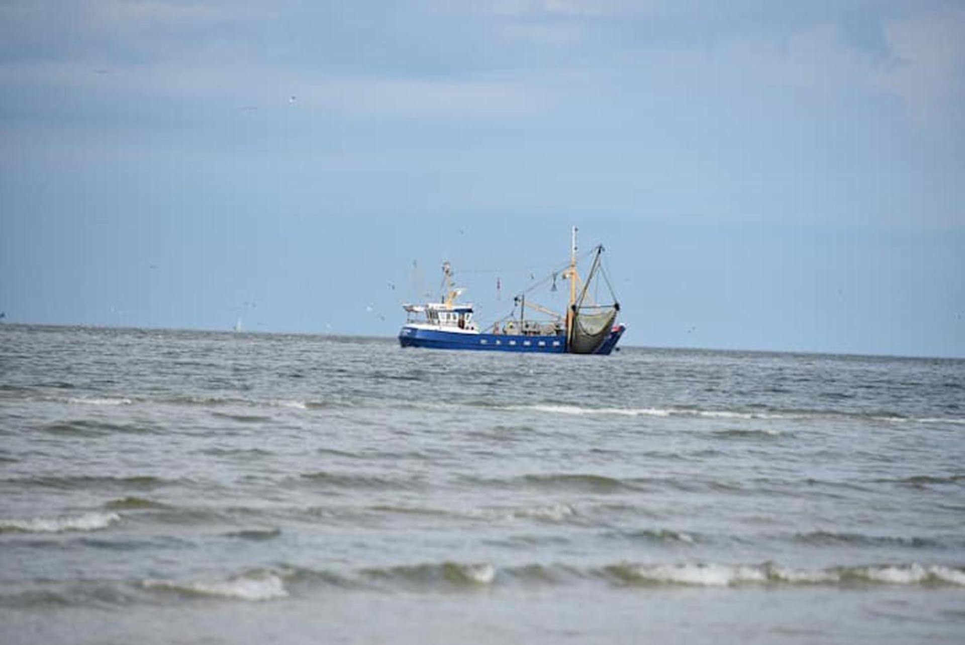 Chalet Zeester J38 Ameland Бурен Екстер'єр фото